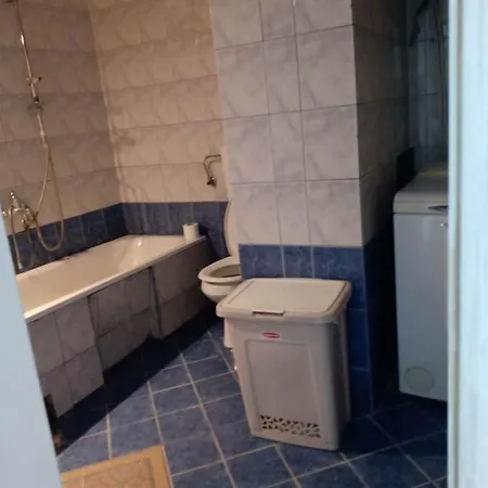 Fis Centar Loft Apartman