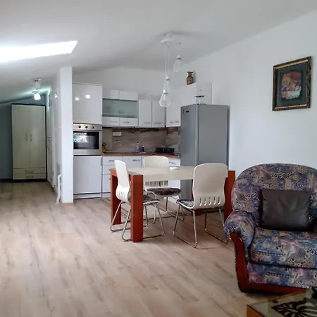 Fis Centar Loft Apartment *