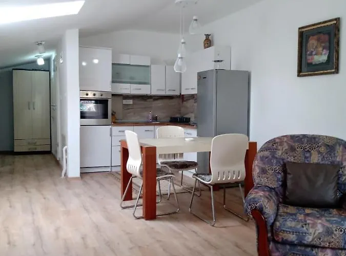 Fis Centar Loft Apartment *